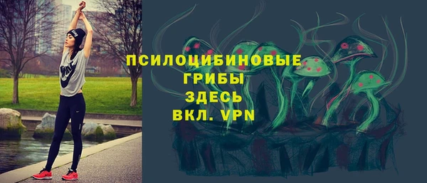 ALPHA PVP Арсеньев