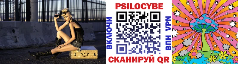 где найти наркотики  Теберда  omg зеркало  Псилоцибиновые грибы GOLDEN TEACHER 