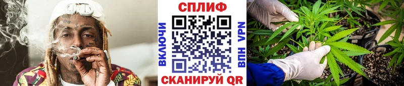 что такое   Теберда  OMG сайт  Канабис AK-47 